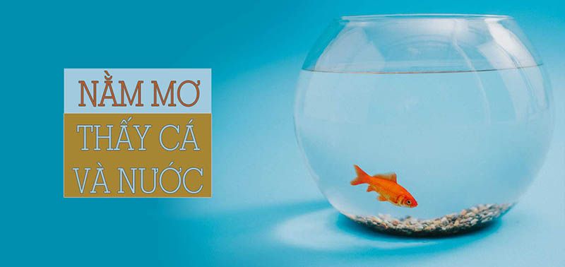 Nằm mơ thấy cá và nước đánh con gì may mắn, trúng lớn?