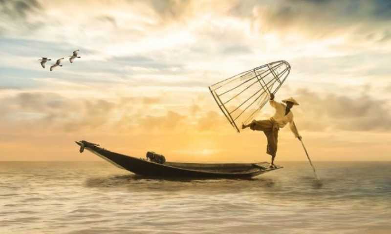 Mơ thấy kéo lưới bắt cá thể hiện thành tựu sắp đến trong công việc của bạn