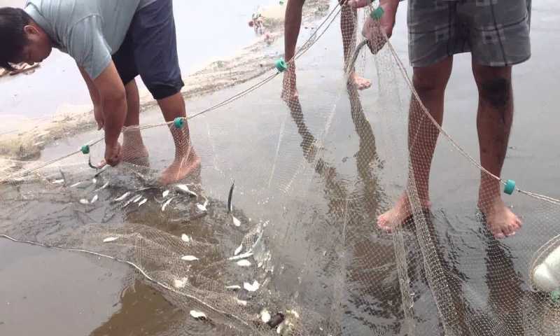 Bẫy được cá trong mơ nên đánh con gì?