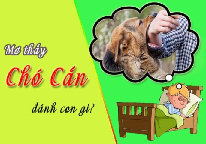 Mơ thấy chó đuổi cắn đánh con gì?