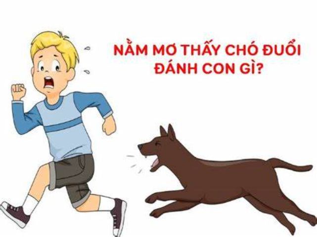 Nằm mơ thấy chó đuổi cắn đánh con gì?