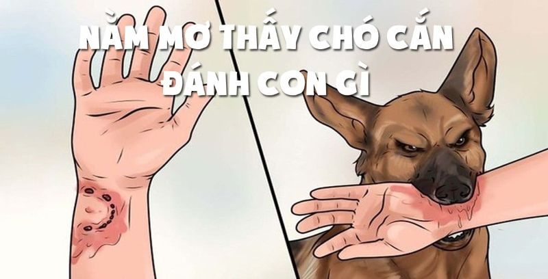 Góc giải đáp nằm mơ thấy chó đuổi cắn đánh con gì dễ trúng?