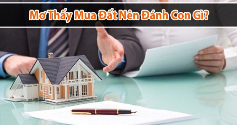 Giấc mơ mua đất ruộng nhắc nhở bạn cẩn trọng hơn với các quyết định đầu tư