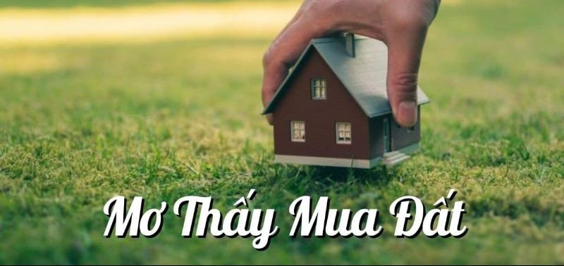 Nằm mơ thấy mình đi mua đất đánh con gì? Giải mã giấc mơ